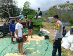 BKTM Desa Hu’u Dampingi Warga Olah Hasil Pertanian dan Dorong Pemanfaatan Lahan Pekarangan