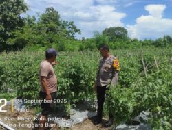 Polres Sumbawa Dukung Ketahanan Pangan Melalui Sambang Desa