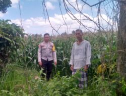 Polsek Kuripan Gencarkan Program Ketahanan Pangan di Desa Jagaraga, Lombok Barat