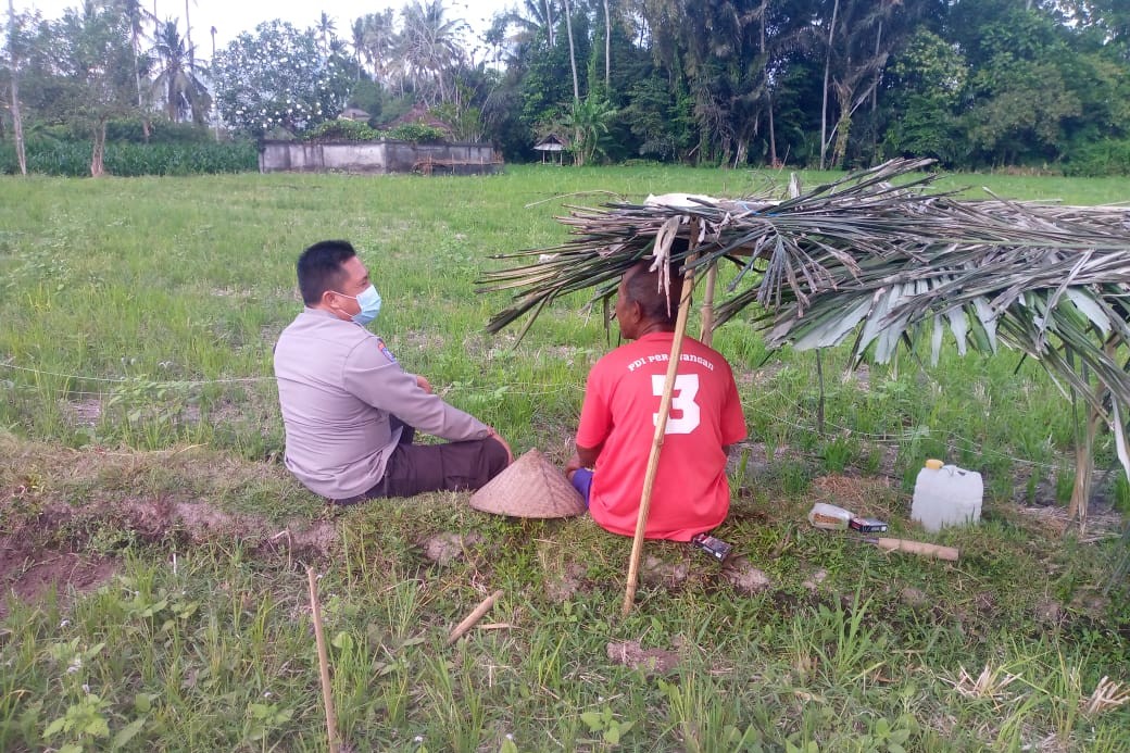 Sinergi Polri dan Petani di Dusun Tambang Eleh, Lombok Barat Wujudkan Desa Mandiri Pangan