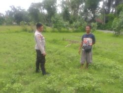 Bhabinkamtibmas Jagaraga Dorong Warga Kuripan Manfaatkan Lahan Pekarangan untuk Ketahanan Pangan