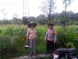 Ketahanan Pangan Desa Jagaraga: Peran Bhabinkamtibmas Dorong Produktivitas Lahan