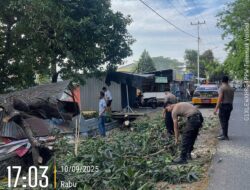 Polres Sumbawa Turun Tangan Atasi Pohon Tumbang di Brang Biji