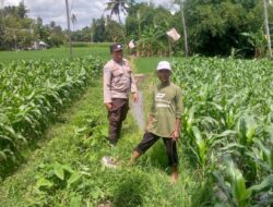 Polres Lombok Barat Gerakkan Warga Desa Jagaraga Menanam Jagung