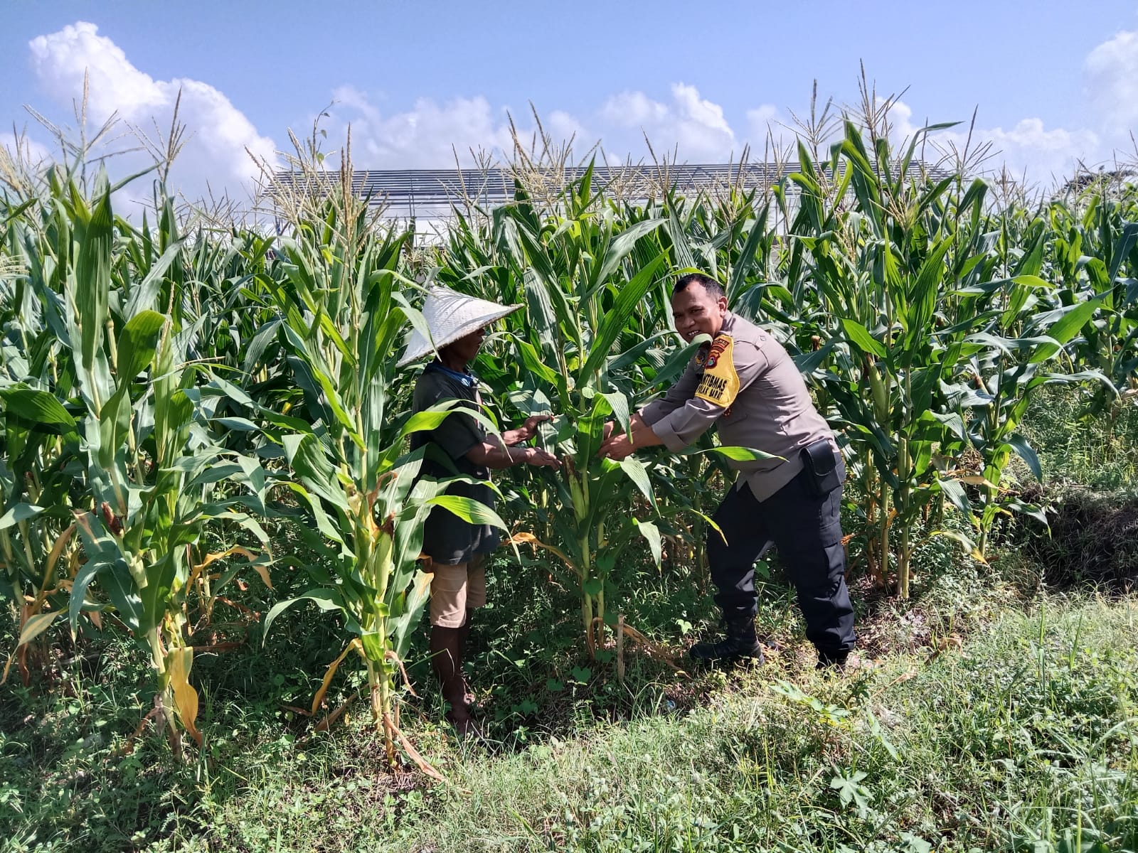 Dusun Jerneng Lombok Barat Jadikan Lahan Kosong Sumber Pangan Keluarga