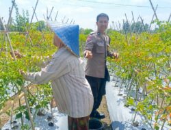 Bhabinkamtibmas Desa Perampuan Dorong Warga Karang Bayan Manfaatkan Lahan Bergizi