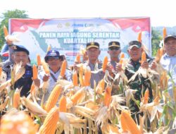 Kapolres Pimpin Langsung Kegiatan Panen Raya Jagung Kuartal III, Bersinergi Bersama Wujudkan Ketahanan Pangan