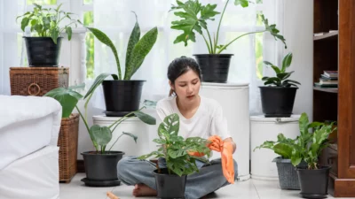 Hobi 'Gak Penting' yang Diam-diam Bikin Otak Sehat