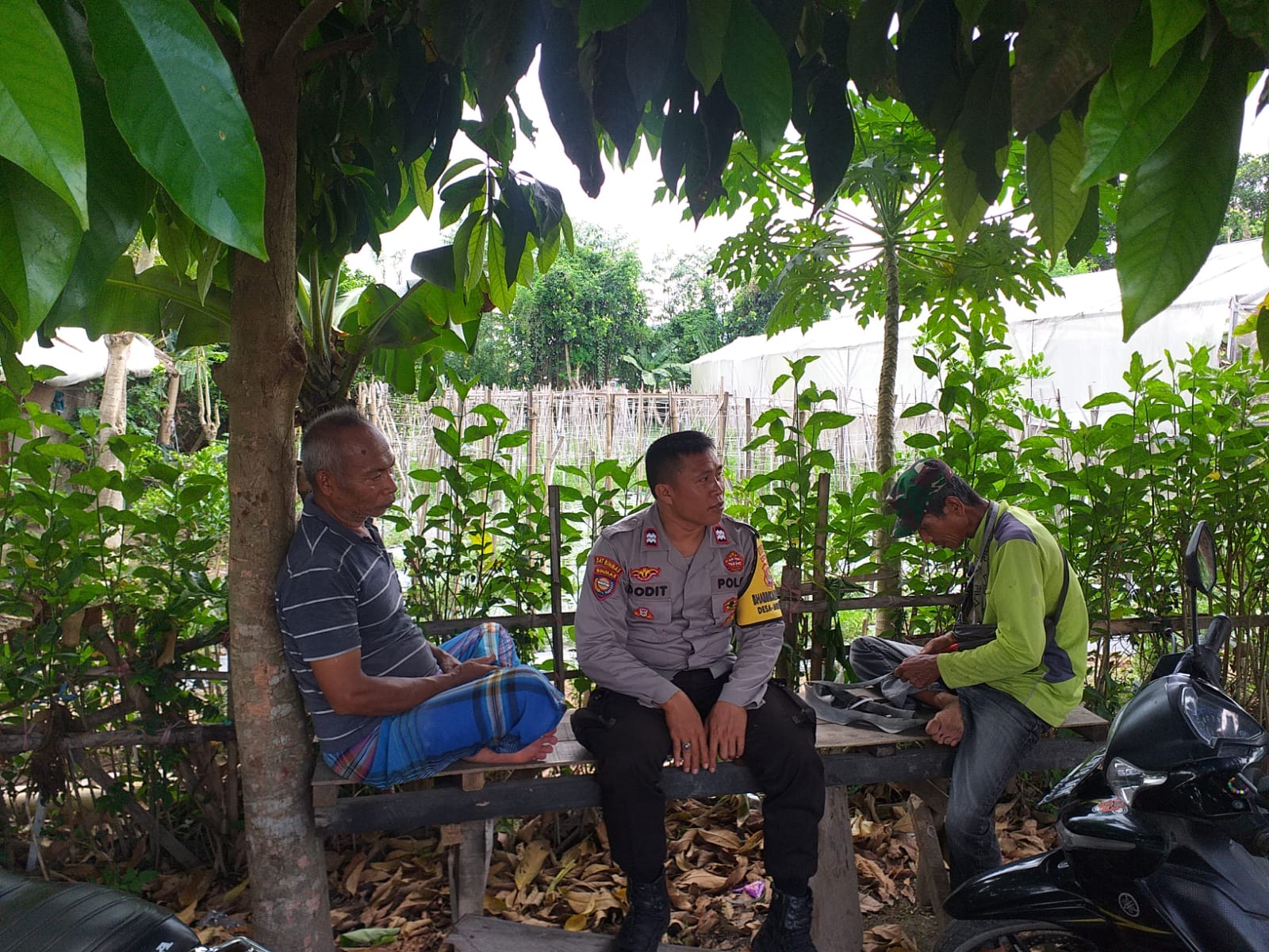 Bhabinkamtibmas Kuripan Ajak Petani Jagaraga Optimalkan Lahan Pekarangan