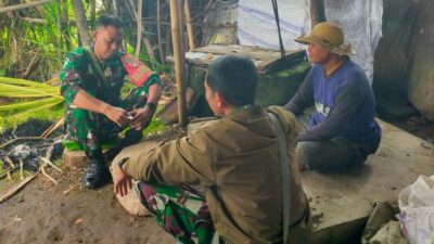Sinergi TNI dan Petani, Cek Lokasi Kompi Produksi di Sigerongan