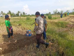 Bhabinkamtibmas Dampingi Petani Jagung Manis di Lombok Barat