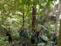 Sinergi Babinsa dan Polhut Amankan Kawasan Hutan Pusuk