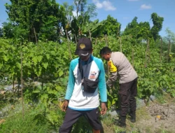 Bhabinkamtibmas Jagaraga Dorong Petani Manfaatkan Lahan Produktif
