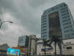 Apa Itu Surat Berharga Negara? Pemula Wajib Tahu Ini!