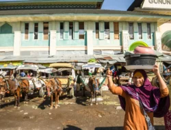 Retribusi Daerah: Pengertian, Jenis, dan Bedanya dengan Pajak