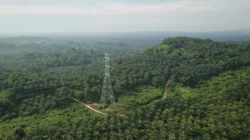 Wajib Tahu! Definisi dan Contoh Komoditas Unggulan Indonesia yang Mendunia