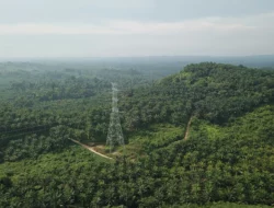 Wajib Tahu! Definisi dan Contoh Komoditas Unggulan Indonesia yang Mendunia