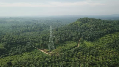 Wajib Tahu! Definisi dan Contoh Komoditas Unggulan Indonesia yang Mendunia