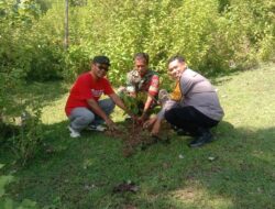 Peringati Hari Penanaman Pohon, Bhabinkamtibmas dan Elemen Desa Semamung Hijaukan Bale Kawa