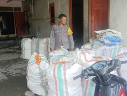 Bhabinkamtibmas Dampingi Petani Beleka agar Jagung Lolos Serap BULOG