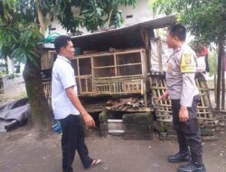 Didorong Bhabinkamtibmas, Warga Mulai Kembangkan Kandang Ayam