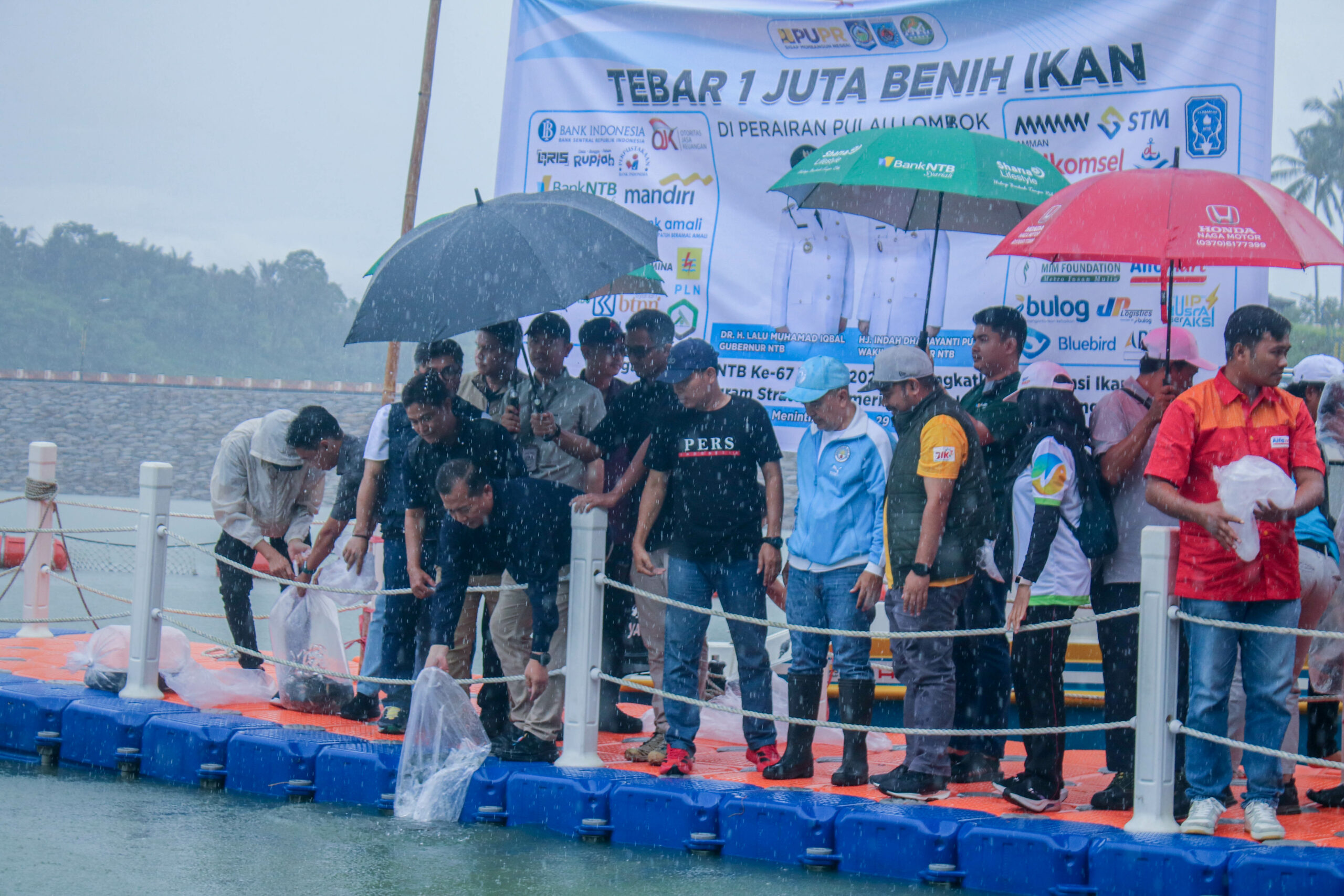 Gubernur Iqbal Apresiasi FWE NTB Tebar 1 Juta Benih Ikan di Bendungan Meninting
