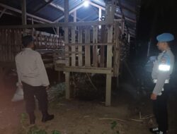 Patroli Dini Hari Polsek Lembar Gagalkan Potensi Curnak di Kandang Kumpul
