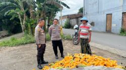 Polsek Labuapi Dorong Petani Jagung Jual Hasil Panen ke Bulog