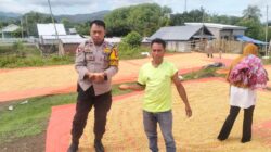BHABINKAMTIBMAS DESA DORO MELO SAMBANG DAN PANTAU WARGA YANG MENJEMUR HASIL PANEN JAGUNG