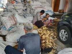 Polsek Gerung Kawal Panen Jagung Tiga Ton di Lombok Barat