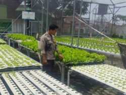 Bhabinkamtibmas Labuapi Ajak Warga Tanam di Pekarangan