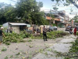 Sat Samapta Polres Bima Kota Tindaklanjuti Laporan Warga Terkait Pohon Tumbang di Kelurahan Sarae