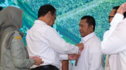 Pemerintah Targetkan Dan Tugasi Bulog Serap 240 Ribu Ton Setara Beras dari NTB.