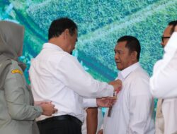 Pemerintah Targetkan Dan Tugasi Bulog Serap 240 Ribu Ton Setara Beras dari NTB.