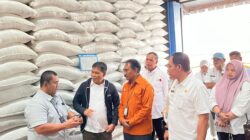 Stok Beras NTB Melimpah, Bulog  Akan Kirim Beras ke Bali dan NTT.