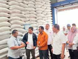 Stok Beras NTB Melimpah, Bulog  Akan Kirim Beras ke Bali dan NTT.