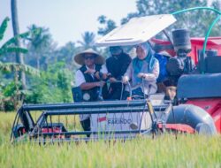 Perum Bulog NTB, Tancap Gas Jemput Bola Serap Hasil Panen Petani.