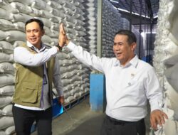 Stok Beras Tembus 5 Juta Ton, BULOG Cetak Rekor Sepanjang Sejarah.
