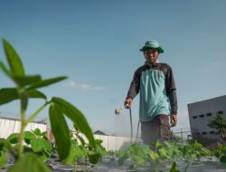 Edamame Jadi Andalan Baru, Lapas Lombok Barat Diversifikasi Komoditas.