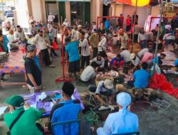 Rekatkan Silaturahmi, Warga Kelayu Potong 40 Ekor Sapi Rayakan Idul Adha.