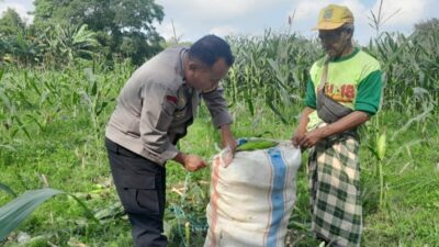 Bhabinkamtibmas Labuapi Motivasi Petani Manfaatkan Pekarangan
