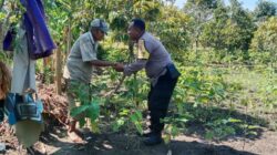 Sinergi Polisi dan Petani Lombok Barat Optimalkan Lahan Hortikultura Desa