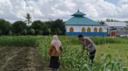 Dukung Ketahanan Pangan, Polsek Labuapi Edukasi Warga Desa