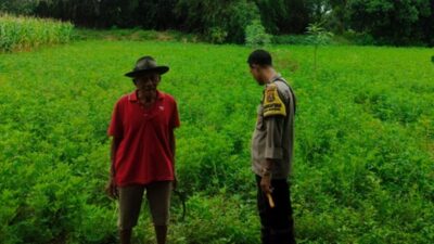 Polsek Labuapi Apresiasi Inisiatif Warga Desa Bengkel yang Sukses Bangun Ketahanan Pangan dari Rumah