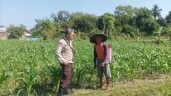 Polsek Batulayar Dorong Swasembada Pangan Nasional dari Desa