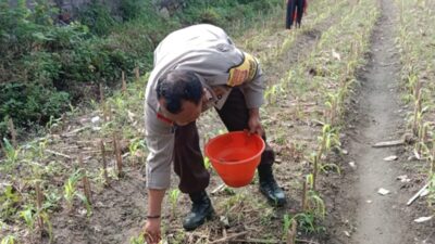 Polsek Labuapi Dorong Petani Lombok Barat Optimalkan Lahan Hortikultura