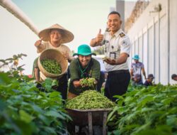 Bukti Pembinaan Tak Sekadar Teori,  Lapas Lombok Barat Panen Perdana Edamame.