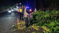 Patroli Malam Polsek Batulayar Evakuasi Pohon Tumbang di Tanjakan Alberto