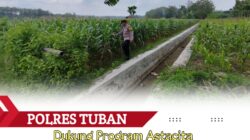 Polri dukung progam Astacita, Polsek Jatirogo Polres Tuban Turun Cek Tanaman jagung Warga di Desa Kebonharjo