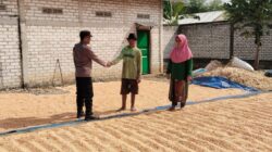Silaturahmi ke Gudang Jagung, Bhabinkamtibmas Cek Kualitas dan Harga
